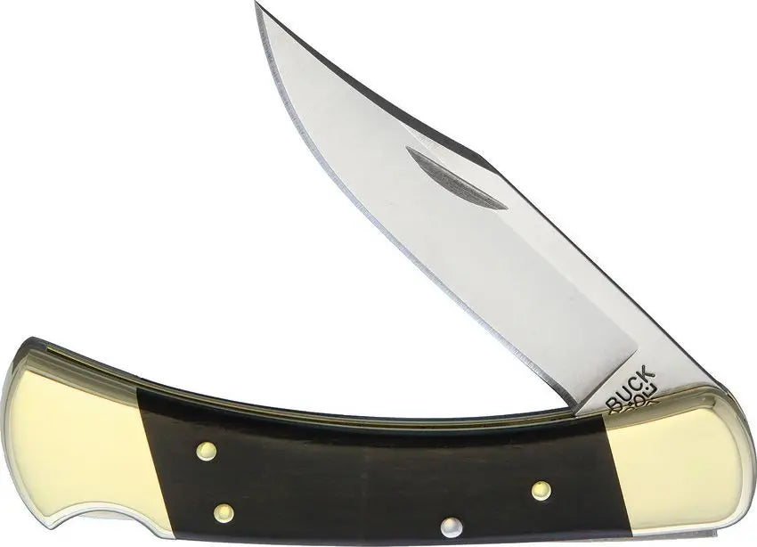 Buck Knives, 110, Lockback Hunter